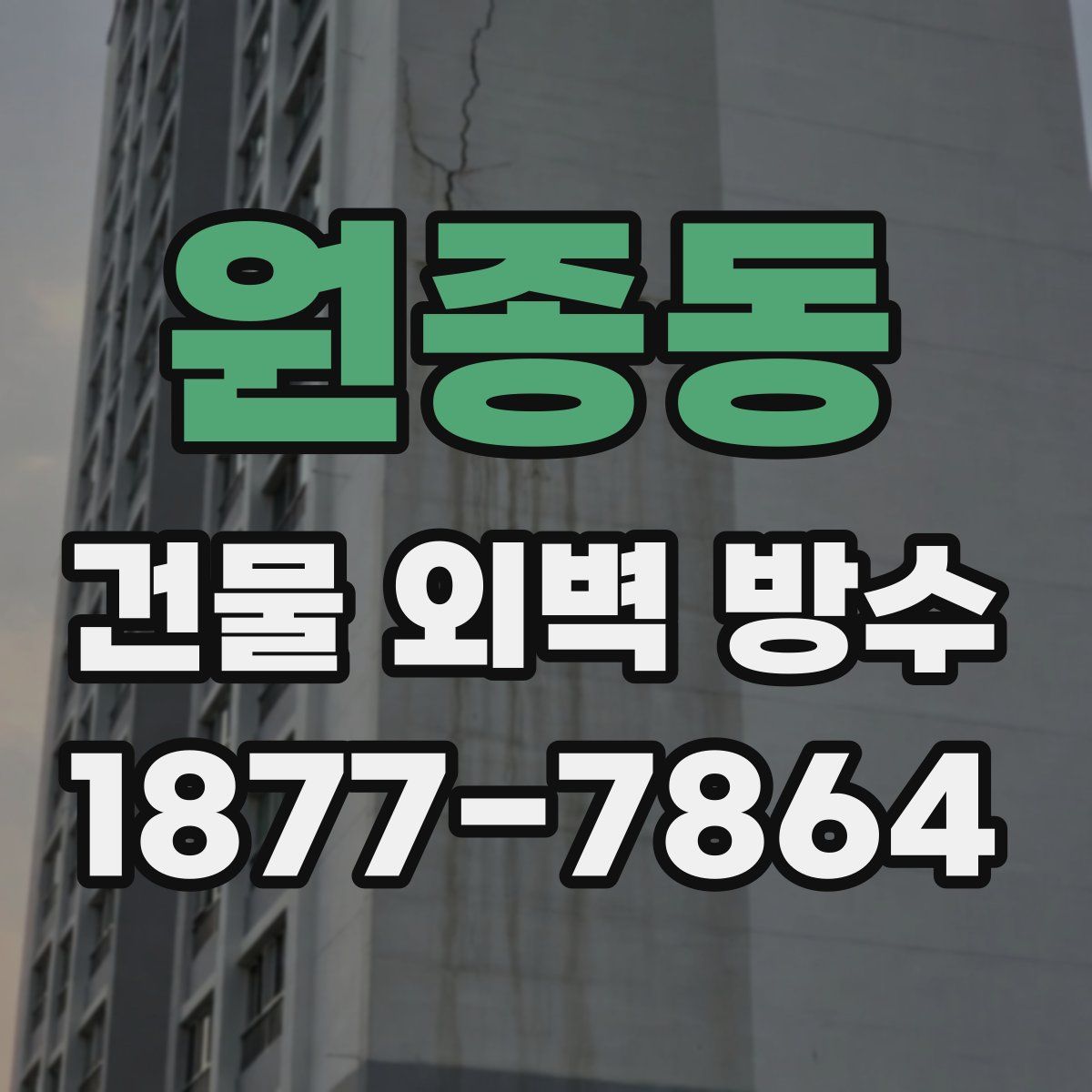 원종동 건물 외벽 방수