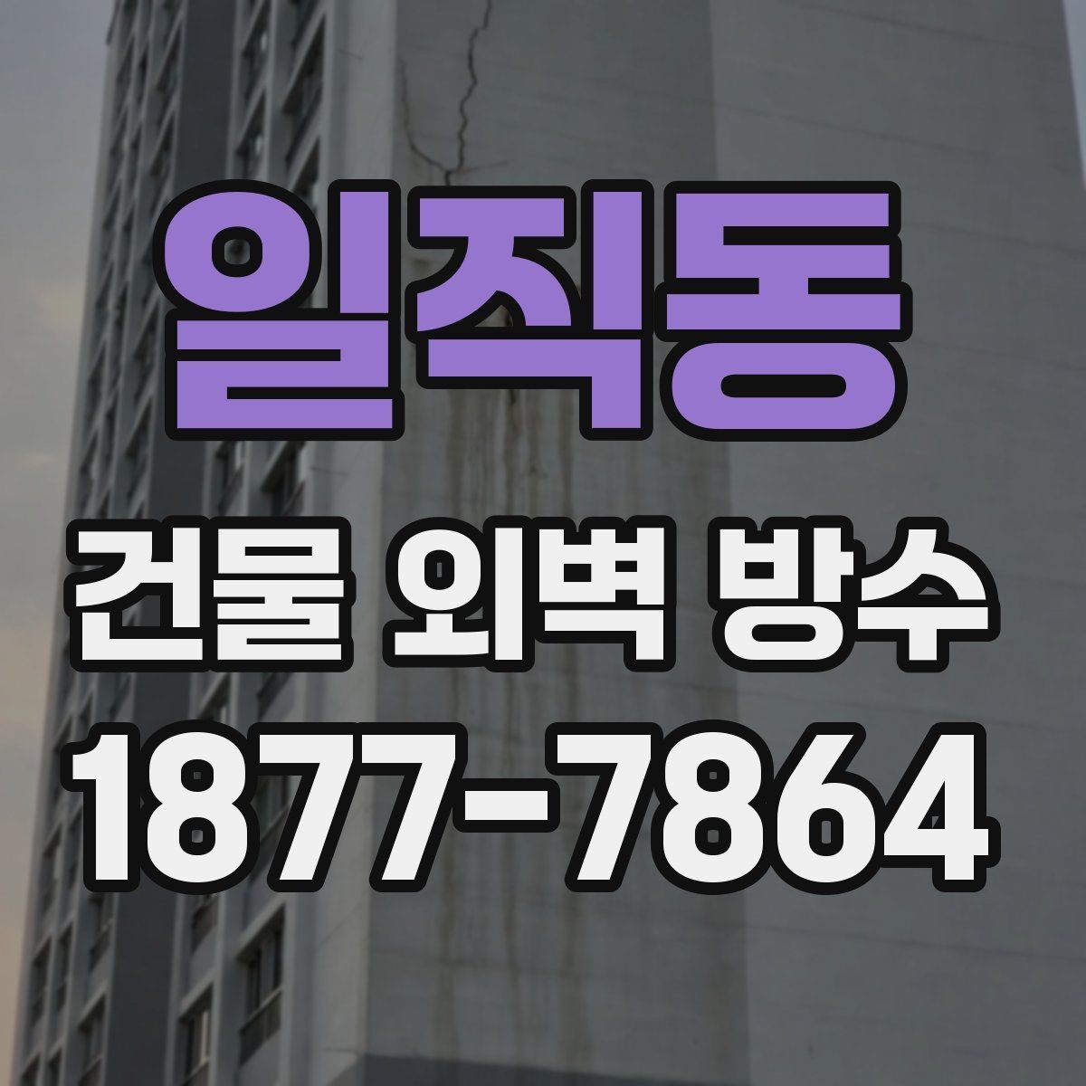 일직동 건물 외벽 방수 견적을 받을 때 비교해야 할 기준