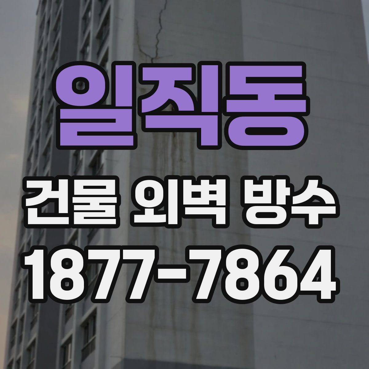 일직동 건물 외벽 방수