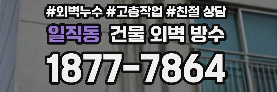 일직동 건물 외벽 방수