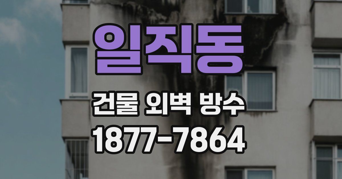 일직동 건물 외벽 방수