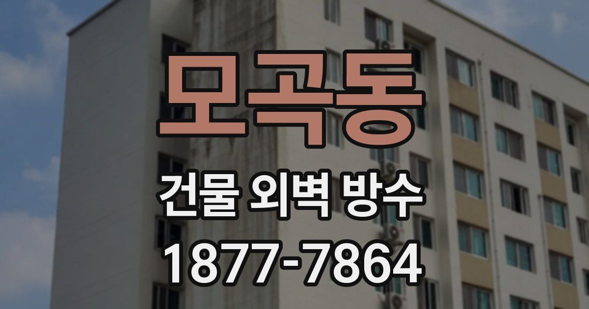 모곡동 건물 외벽 방수