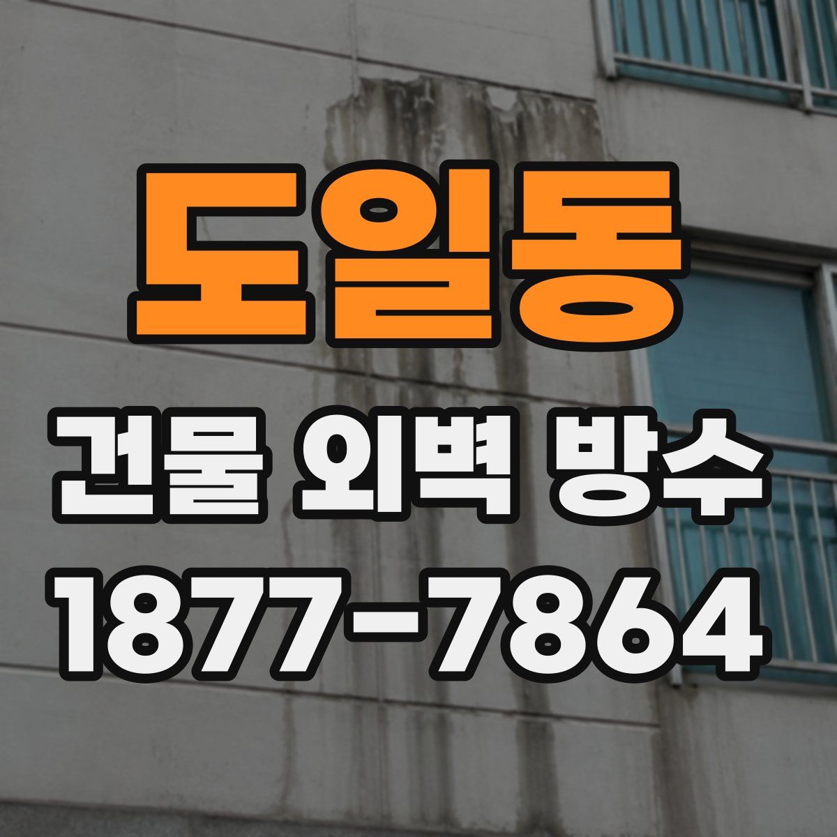 도일동 건물 외벽 방수
