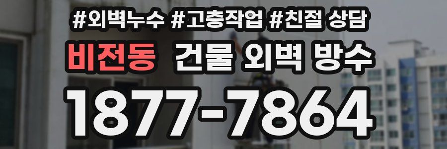비전동 건물 외벽 방수