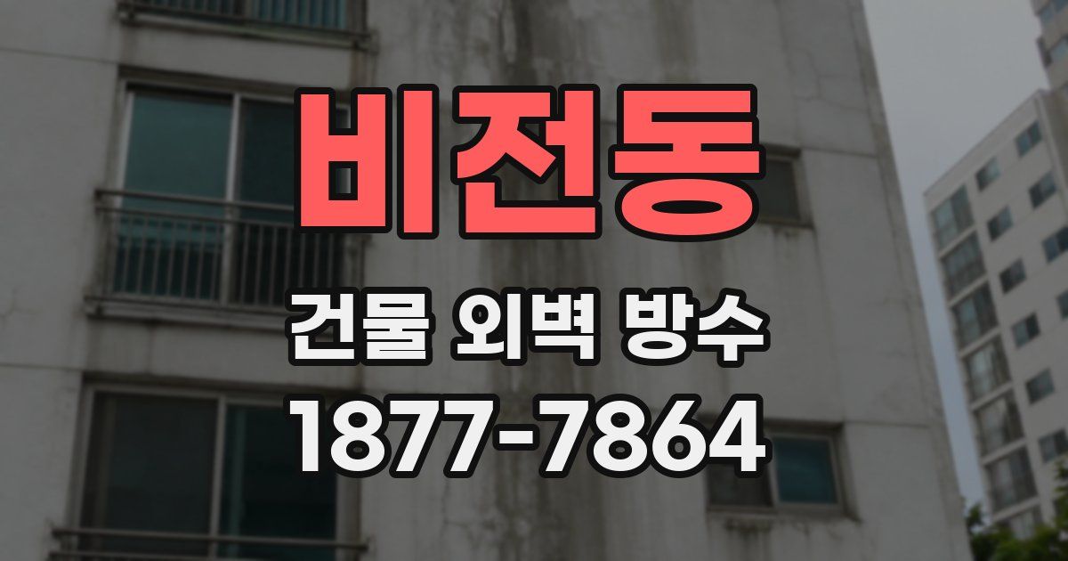 비전동 건물 외벽 방수