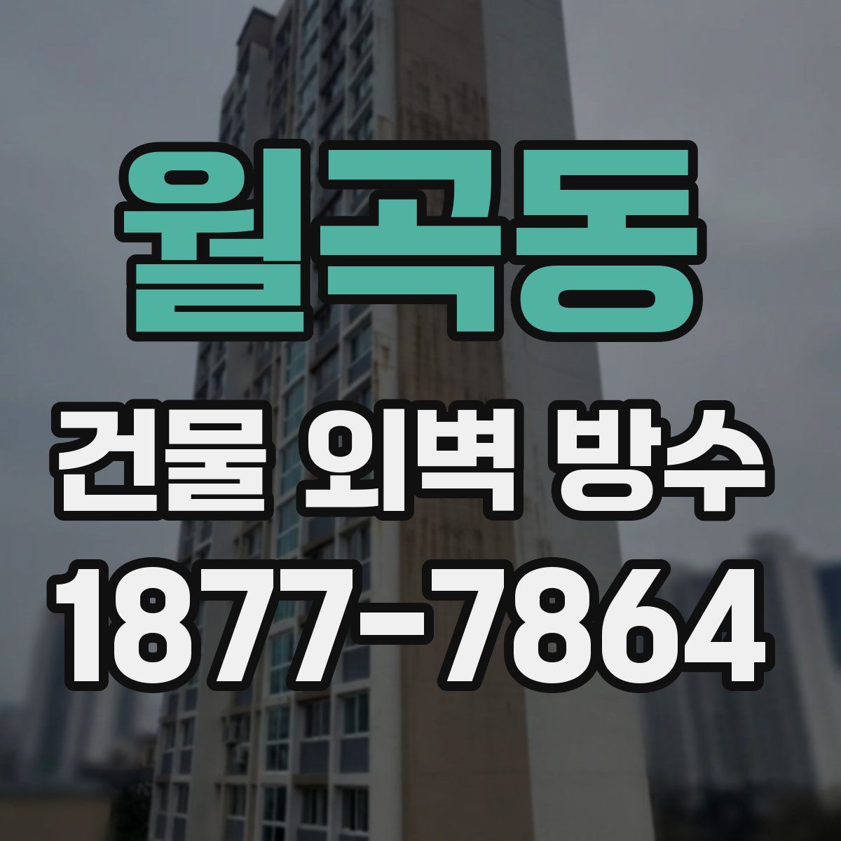 월곡동 건물 외벽 방수