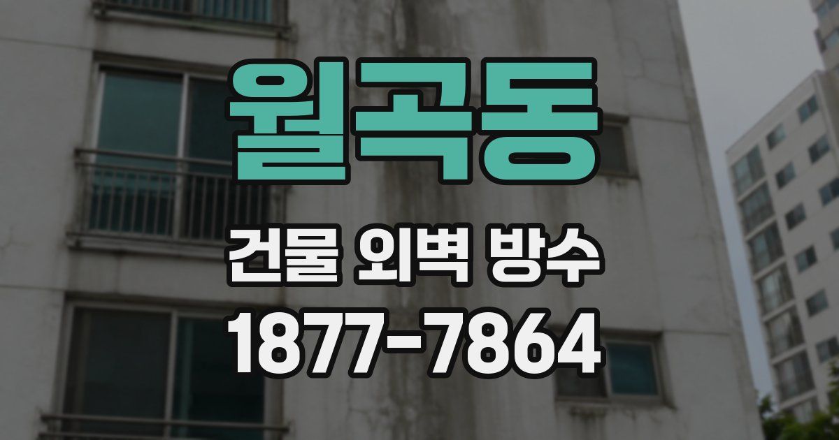 월곡동 건물 외벽 방수