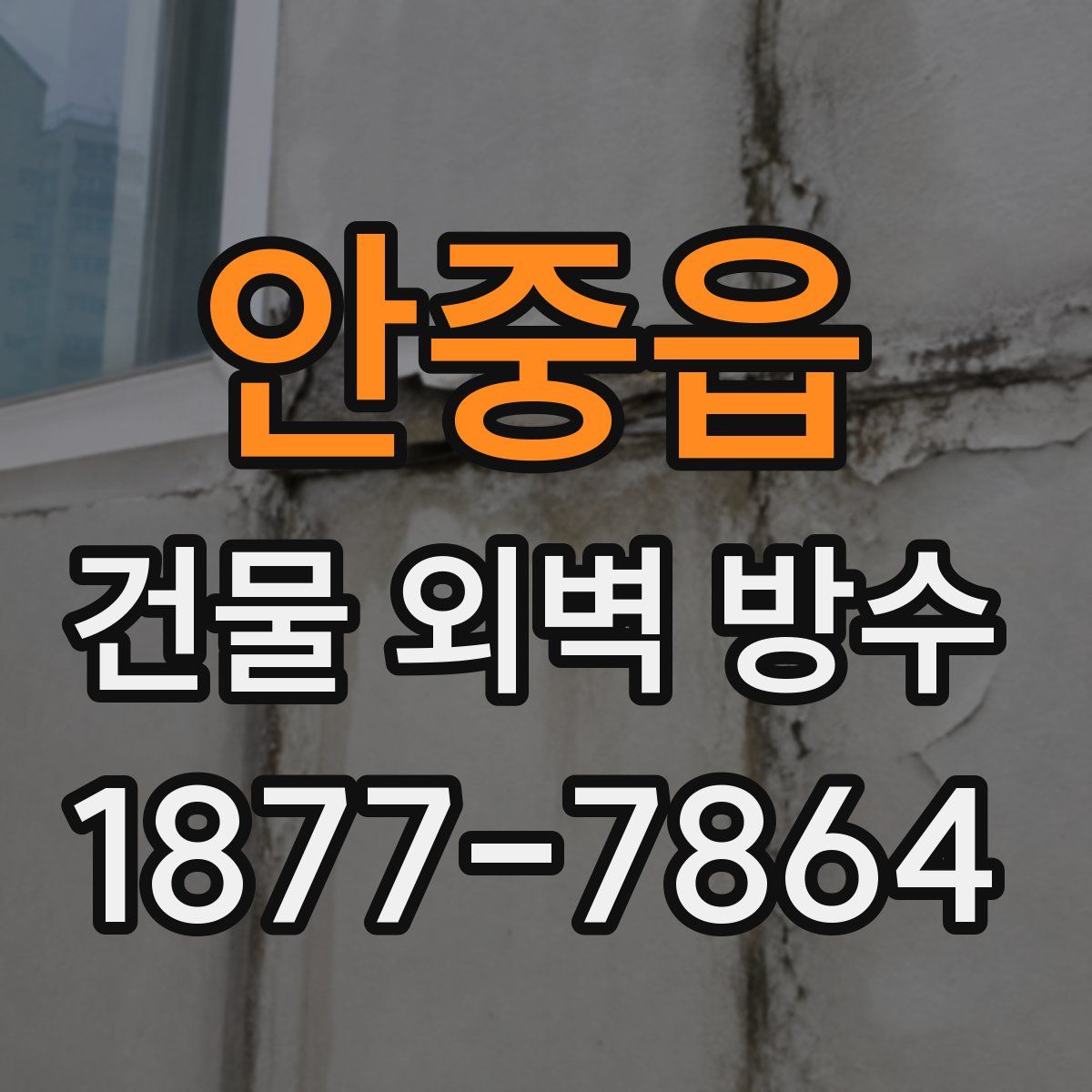 안중읍 건물 외벽 방수