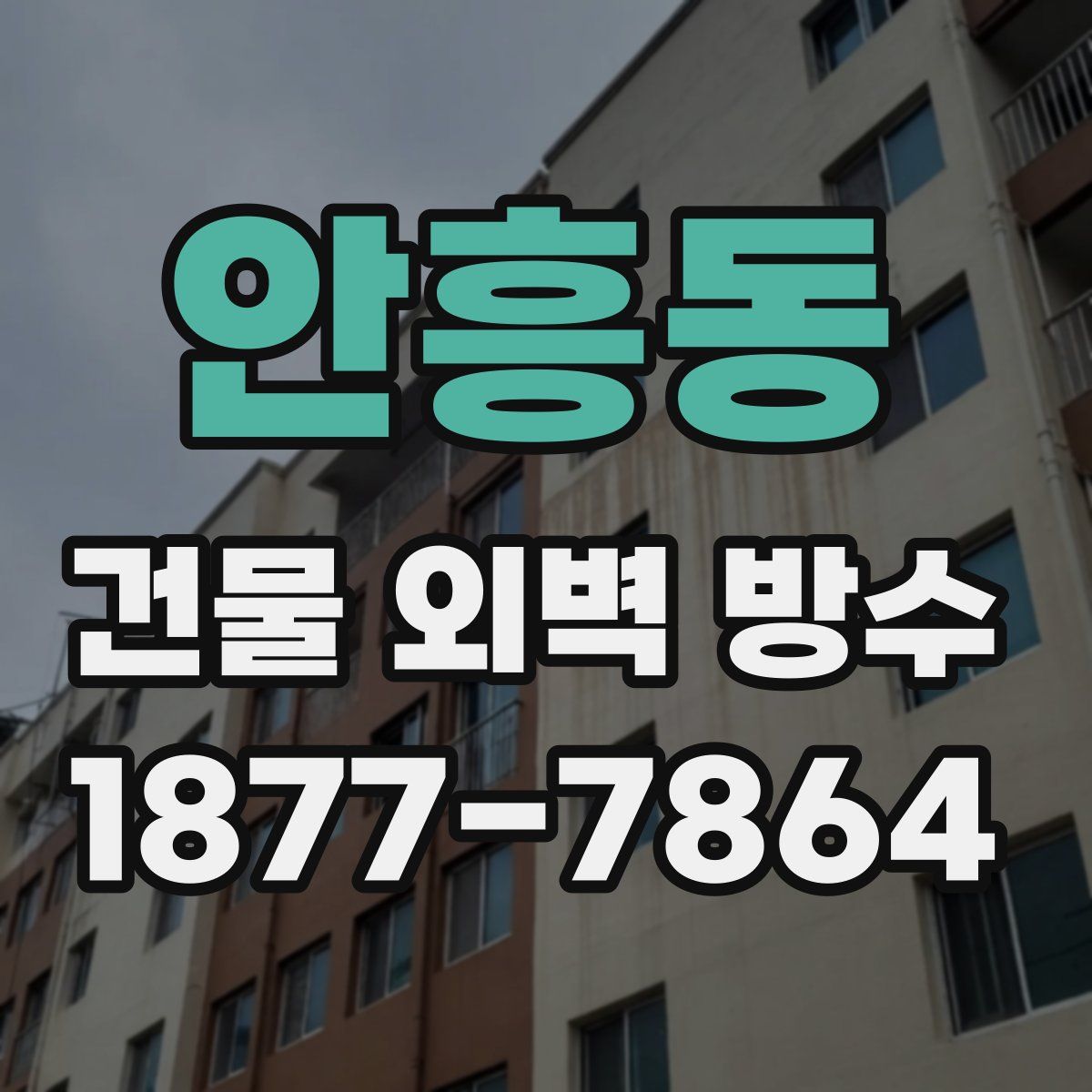 안흥동 건물 외벽 방수