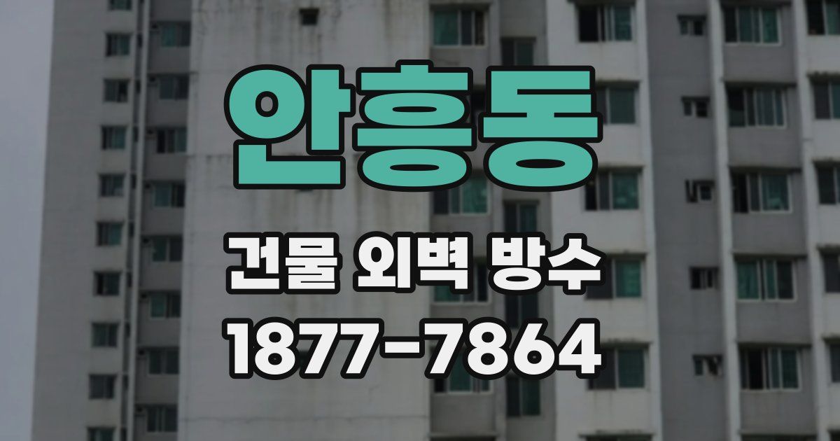 안흥동 건물 외벽 방수