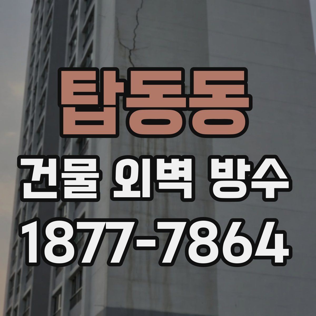 탑동동 건물 외벽 방수 외벽 상태 진단이 먼저인 이유