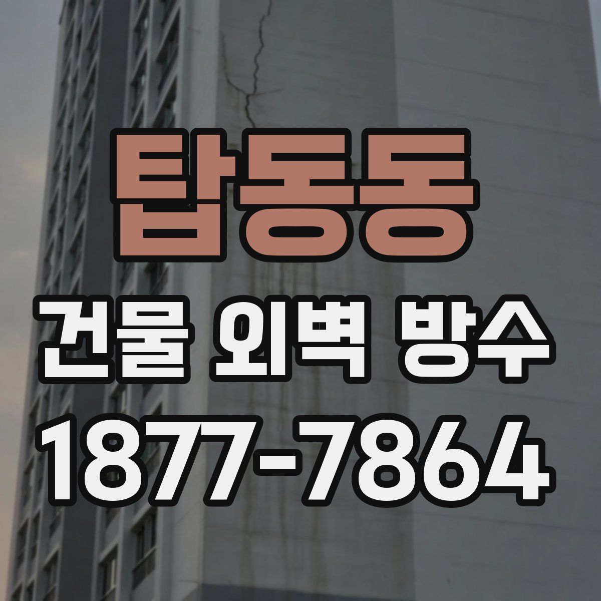 탑동동 건물 외벽 방수
