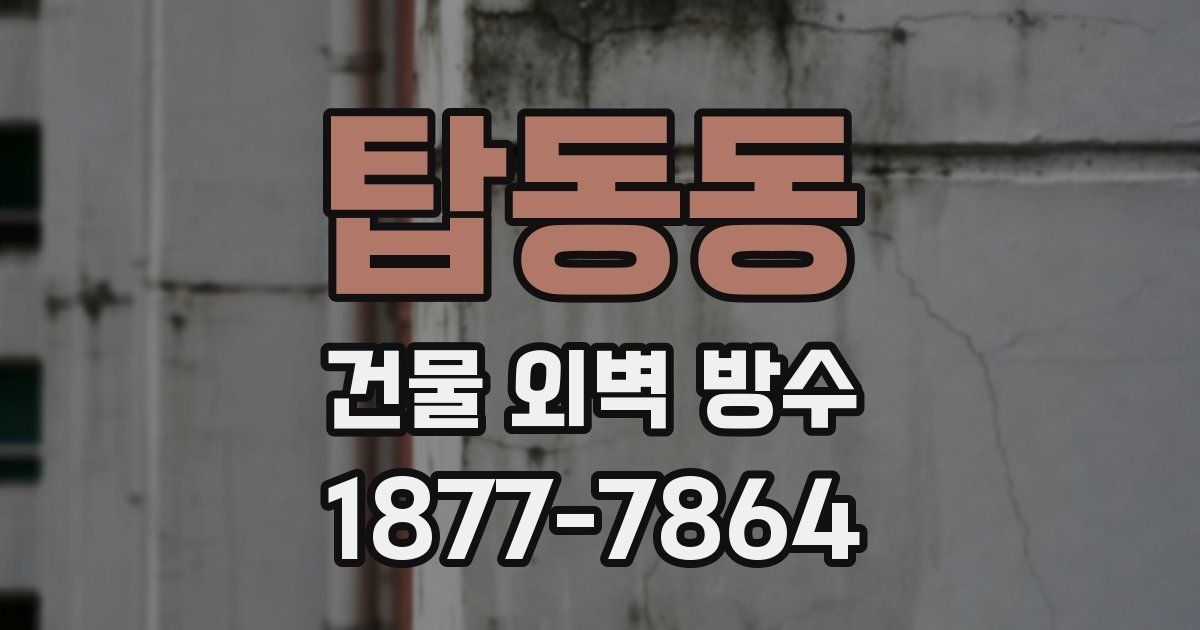 탑동동 건물 외벽 방수