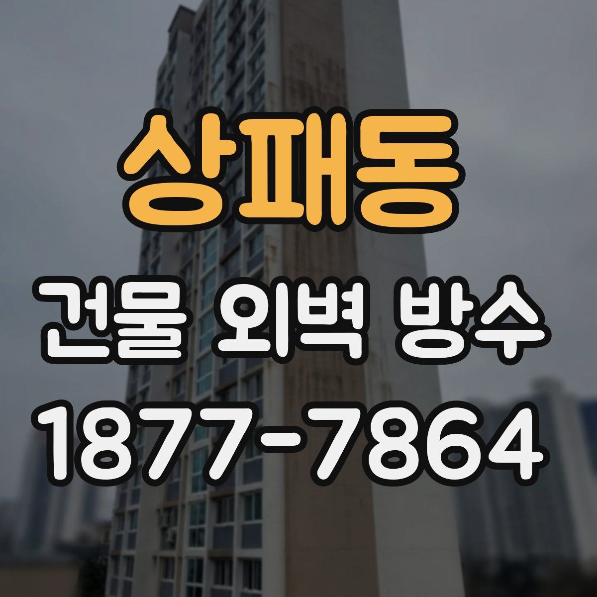 상패동 건물 외벽 방수