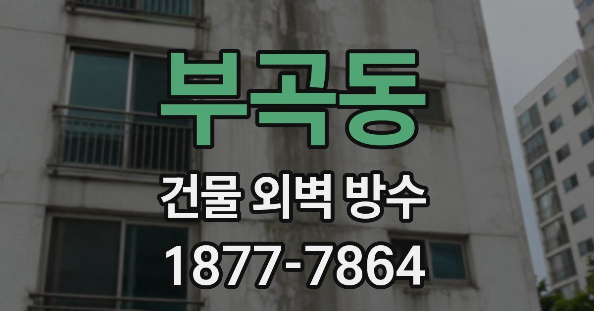 부곡동 건물 외벽 방수
