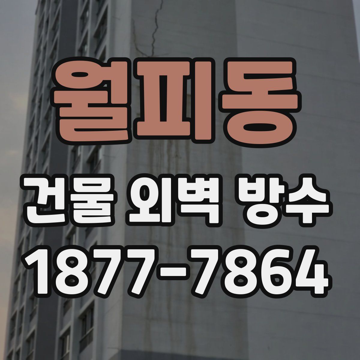 월피동 건물 외벽 방수