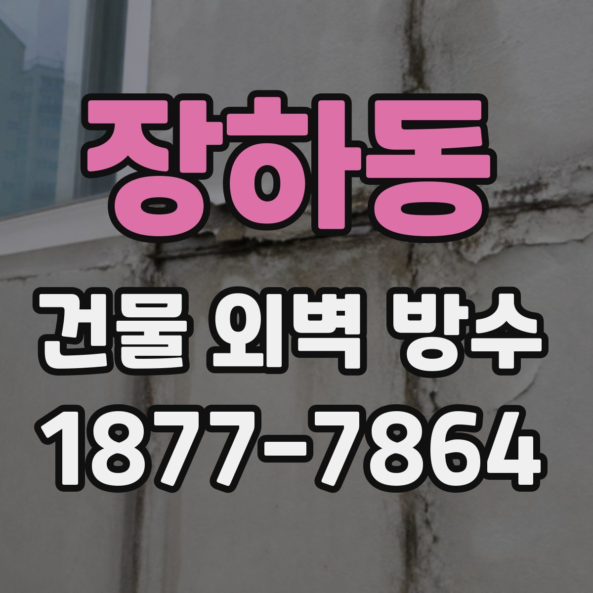 장하동 건물 외벽 방수
