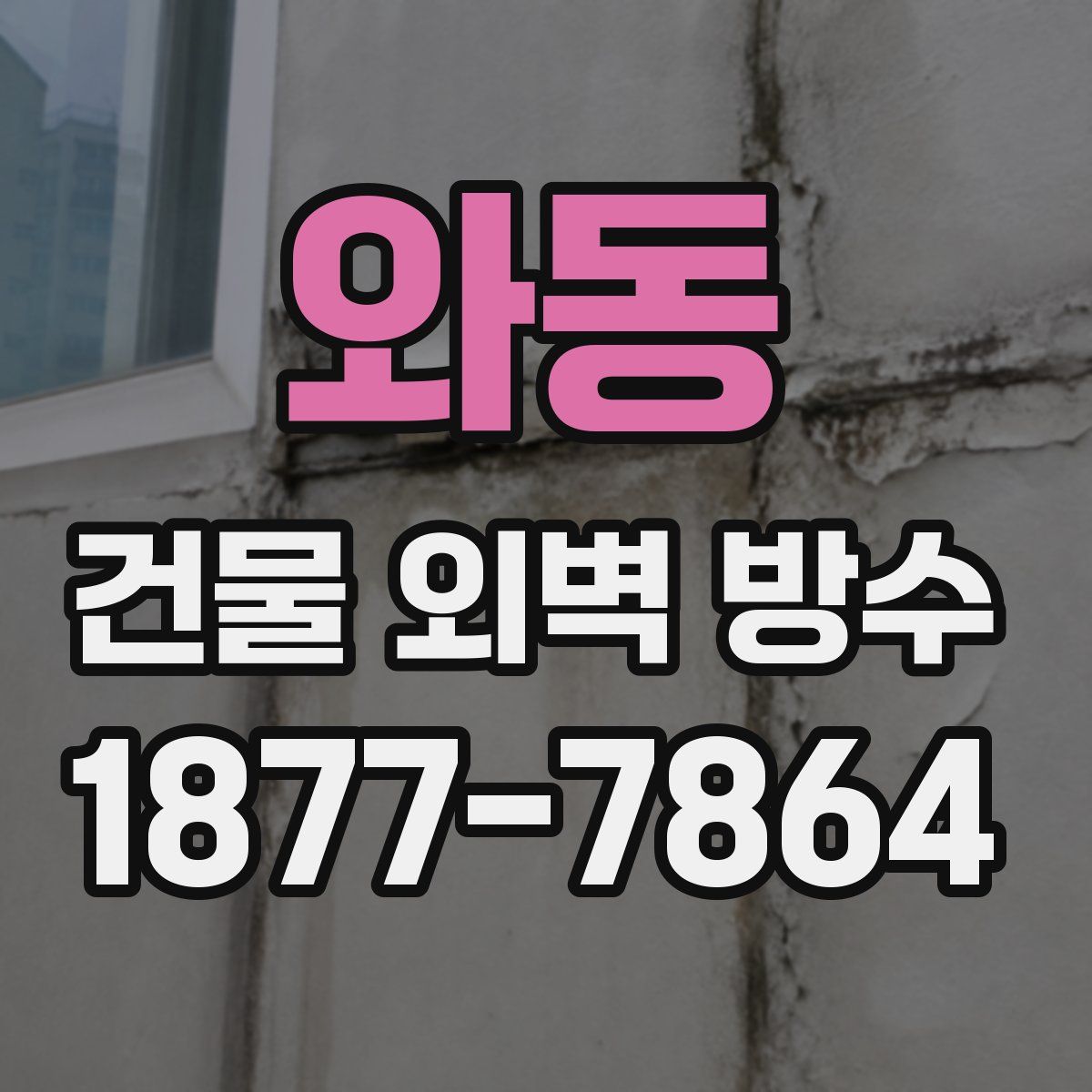 와동 건물 외벽 방수