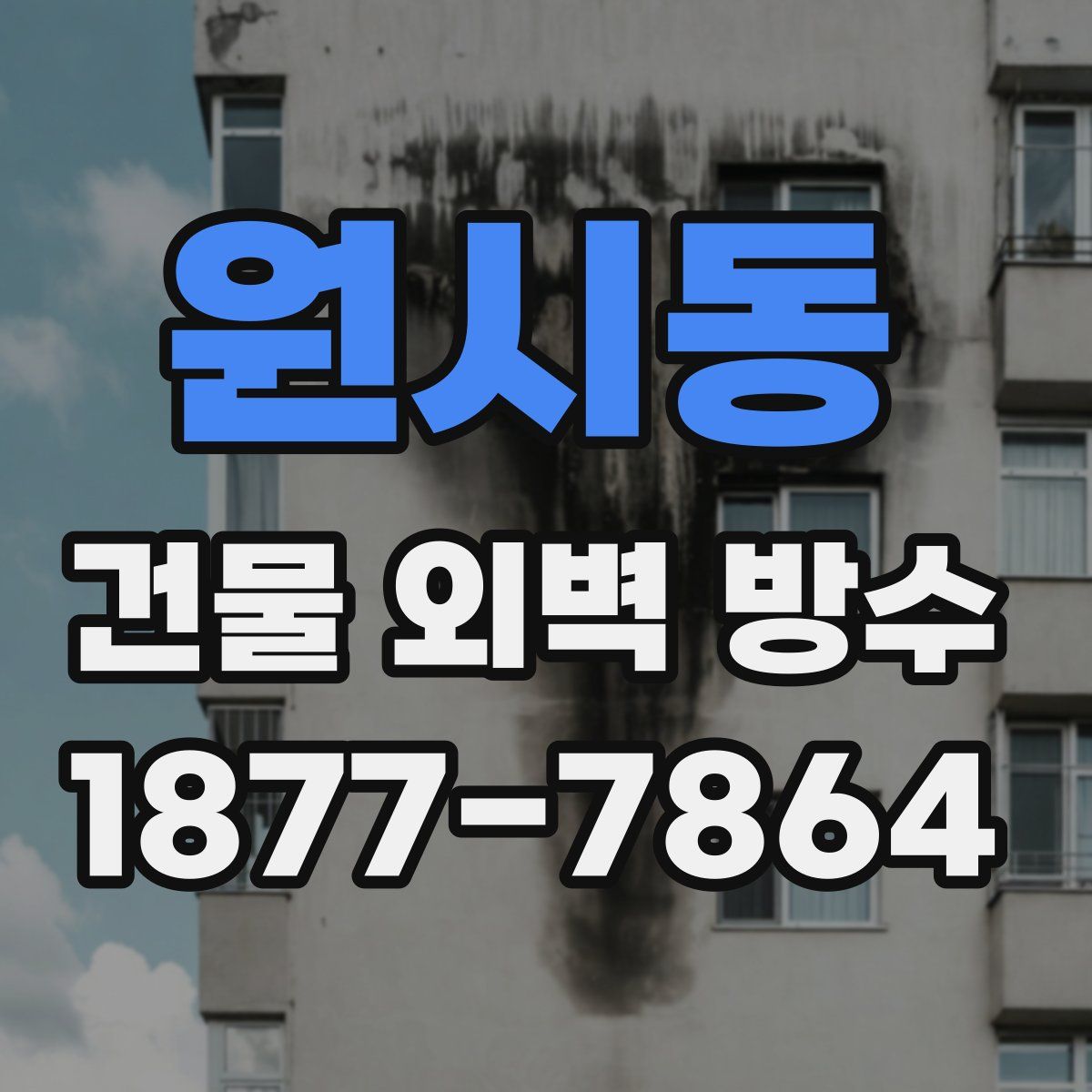 원시동 건물 외벽 방수