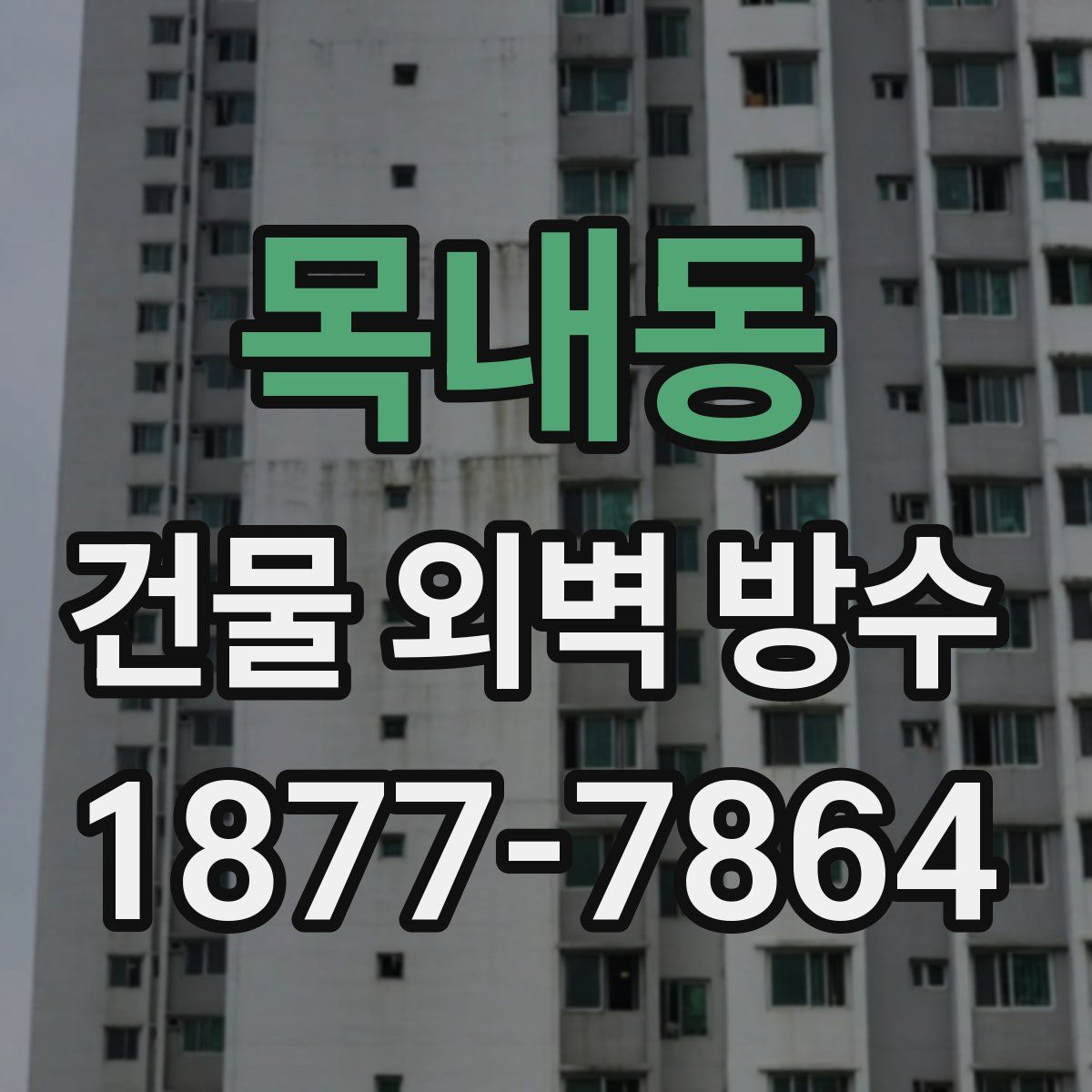 목내동 건물 외벽 방수