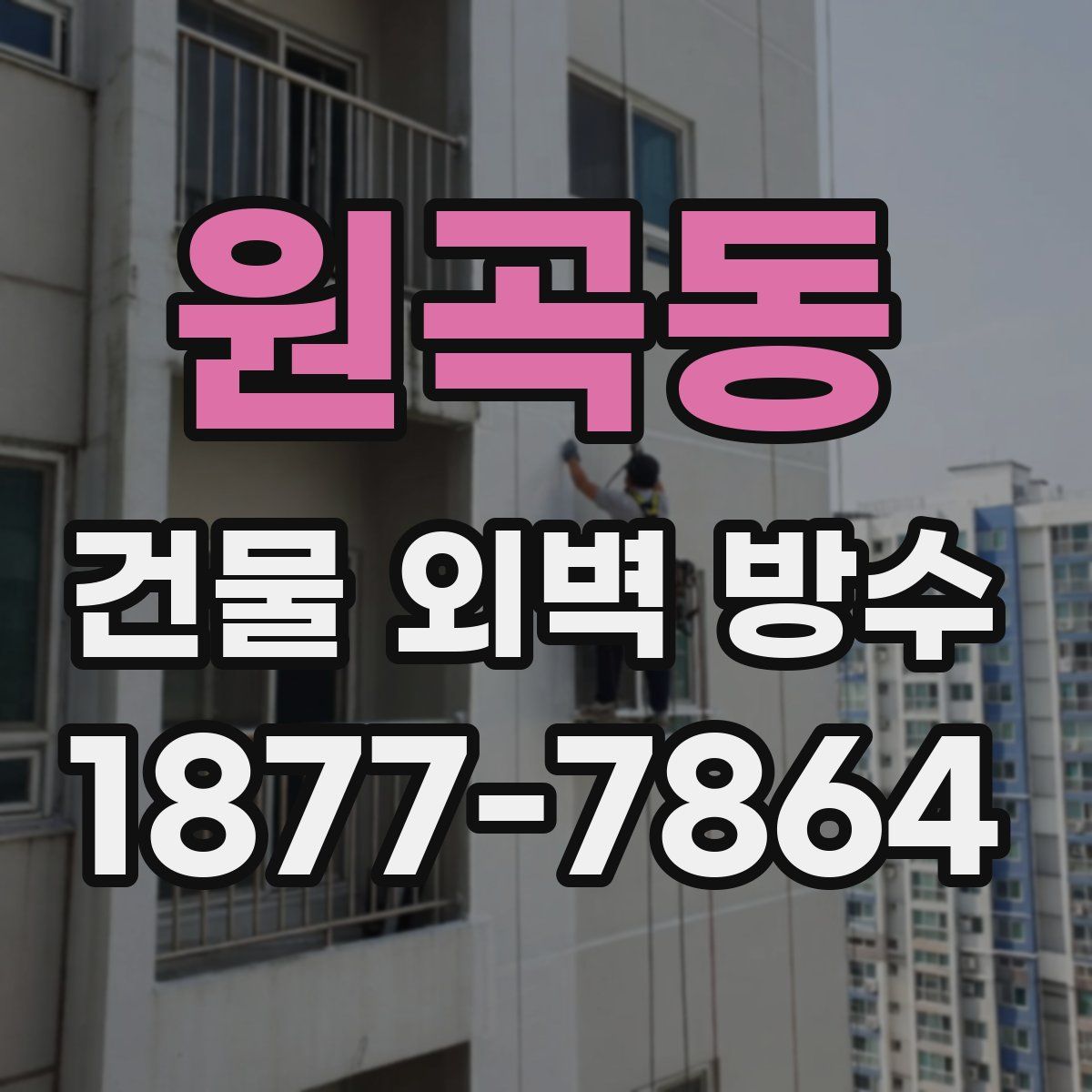 원곡동 건물 외벽 방수