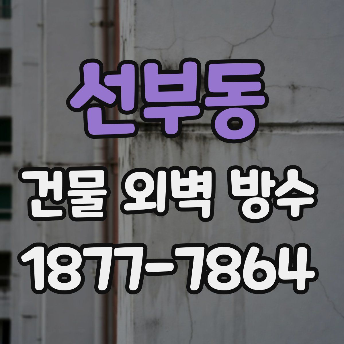 선부동 건물 외벽 방수
