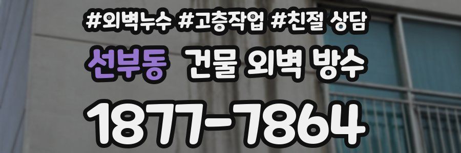 선부동 건물 외벽 방수