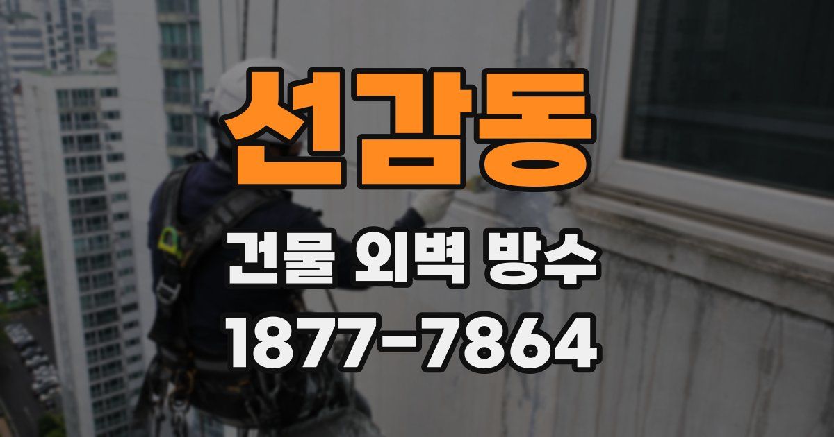 선감동 건물 외벽 방수