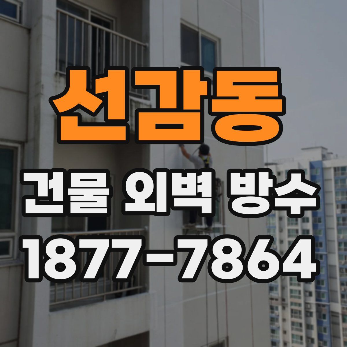 선감동 건물 외벽 방수