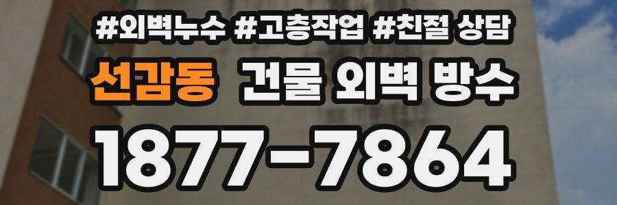 선감동 건물 외벽 방수