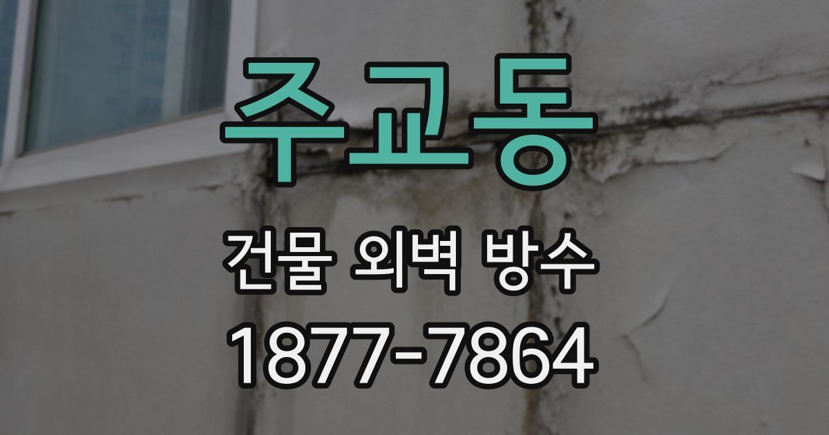 주교동 건물 외벽 방수