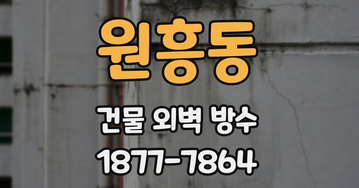 원흥동 건물 외벽 방수