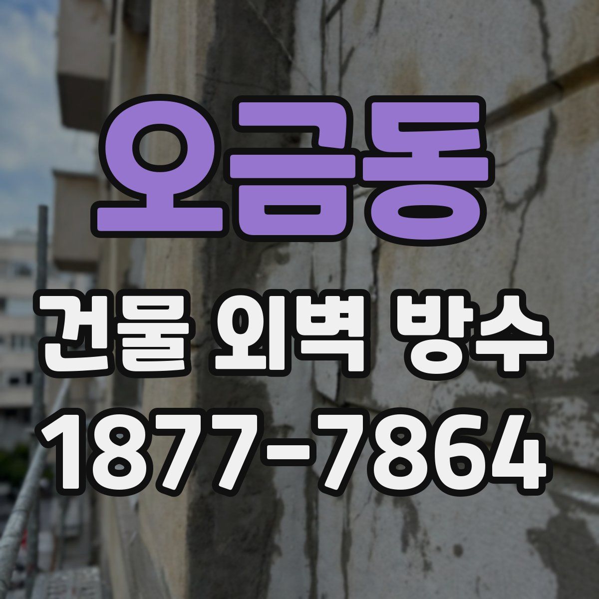 오금동 건물 외벽 방수