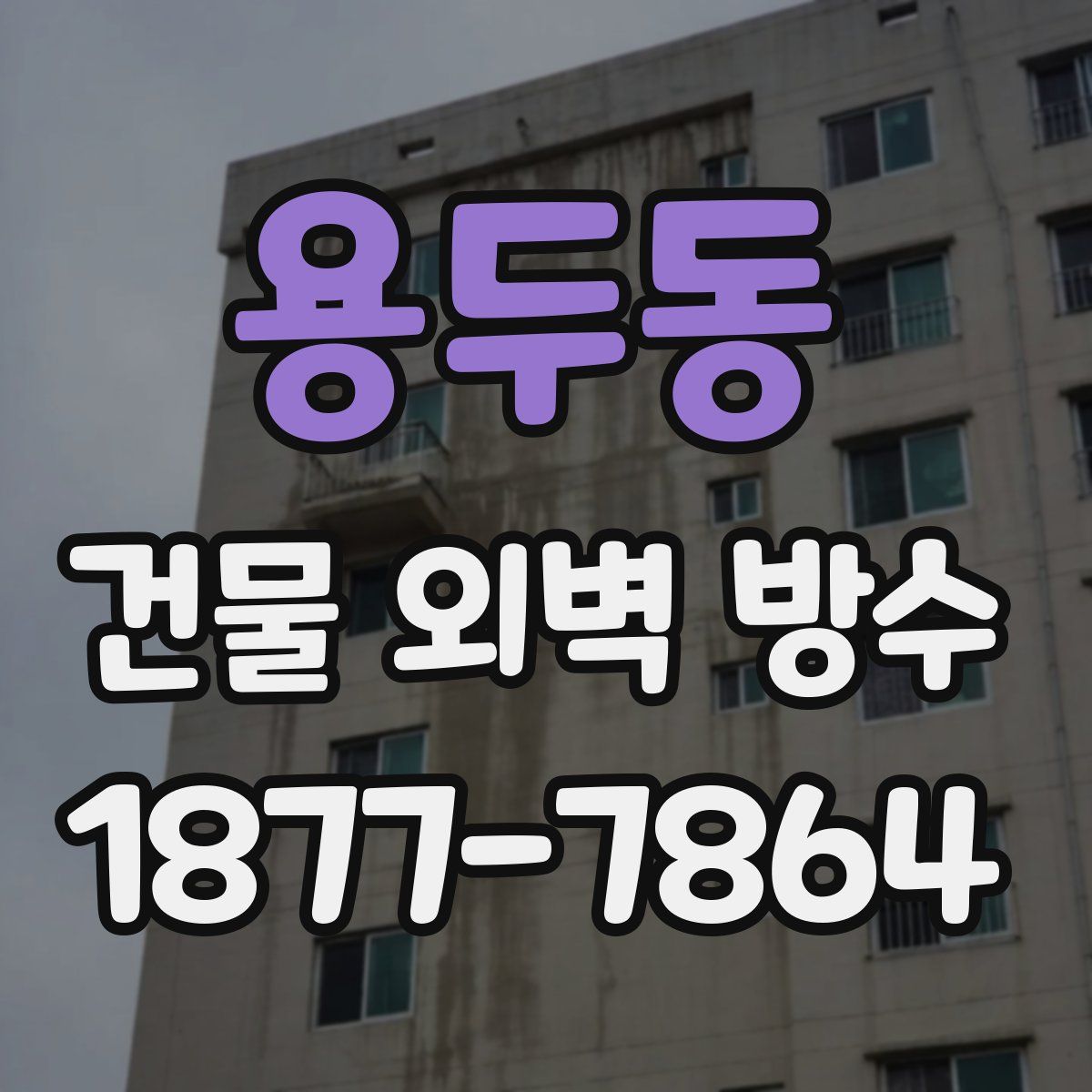 용두동 건물 외벽 방수