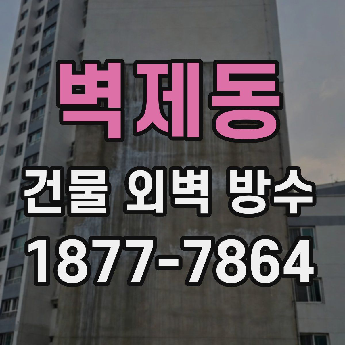 벽제동 건물 외벽 방수