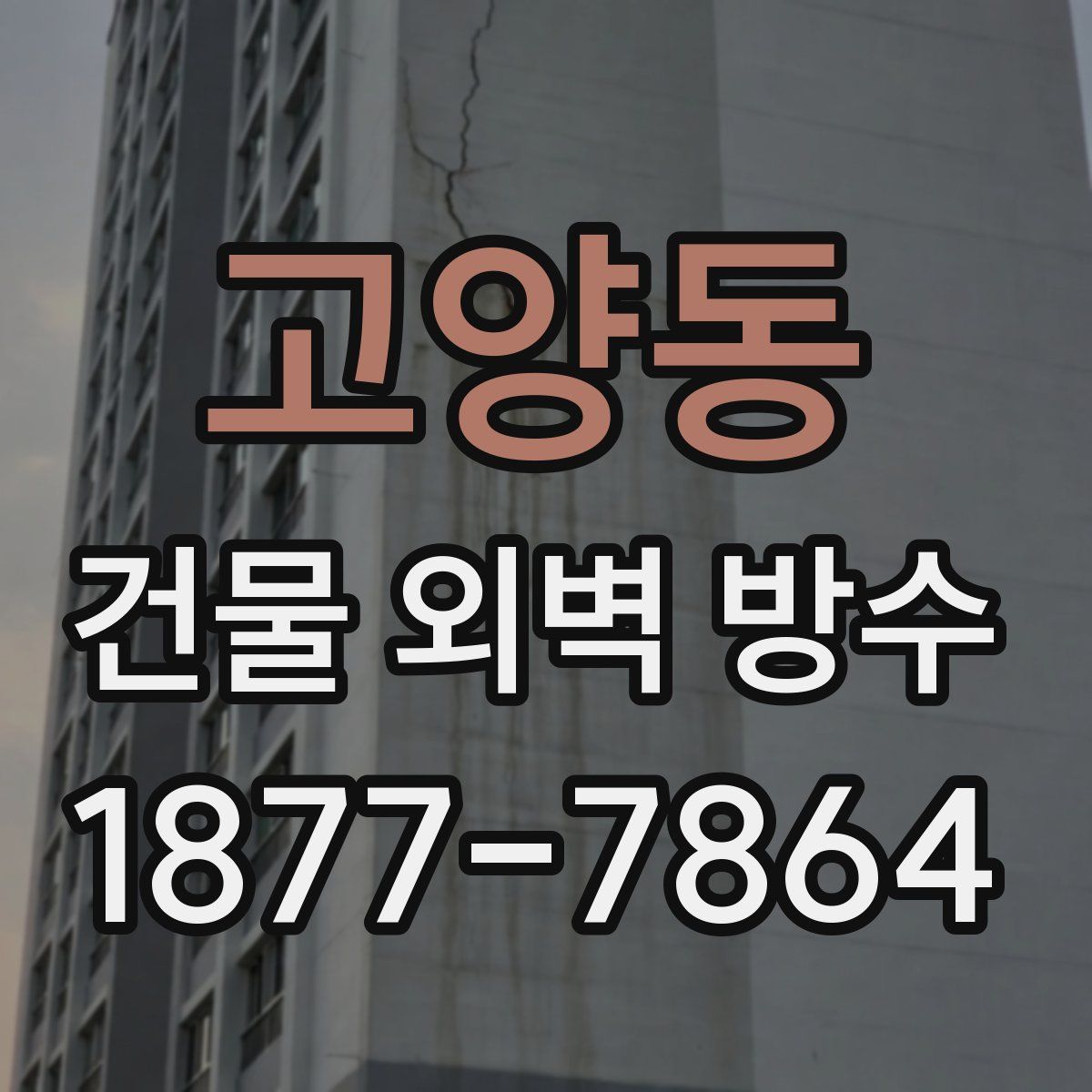 고양동 건물 외벽 방수
