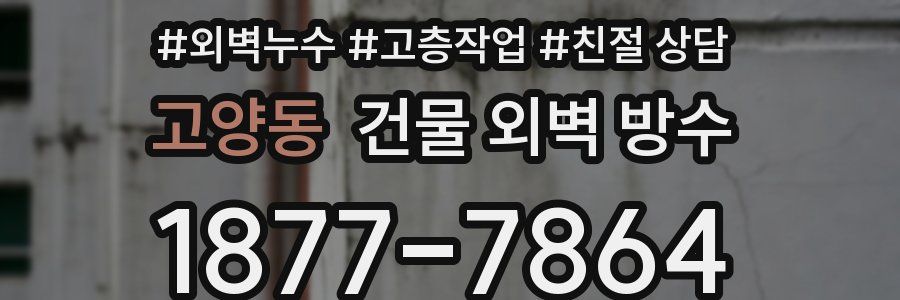 고양동 건물 외벽 방수