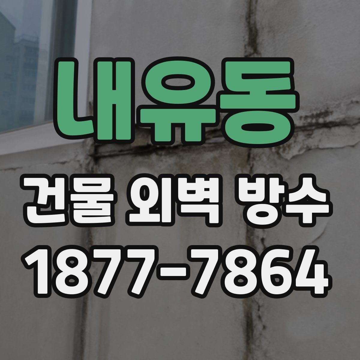 내유동 건물 외벽 방수