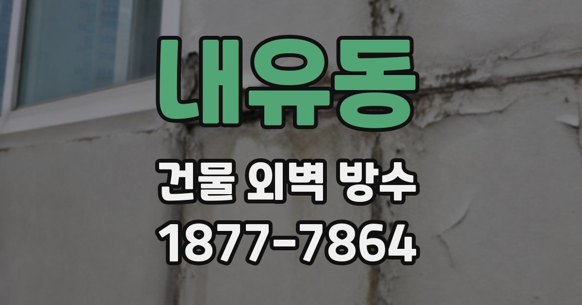 내유동 건물 외벽 방수