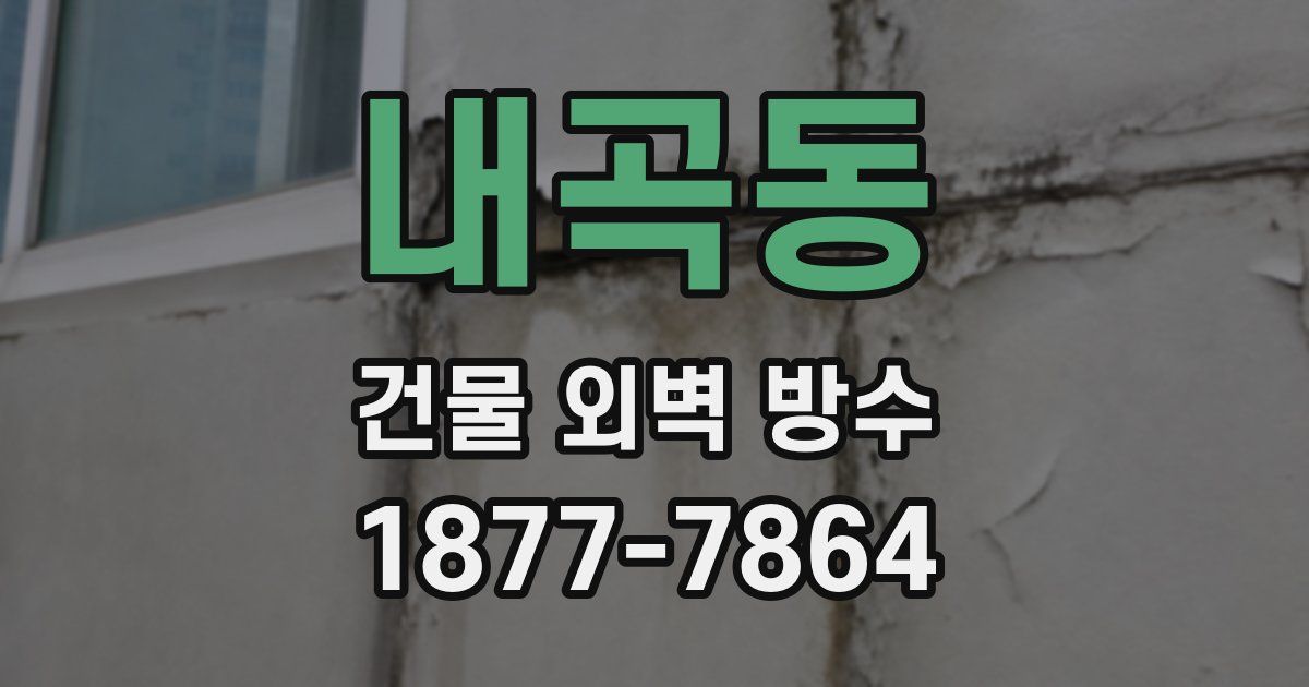 내곡동 건물 외벽 방수