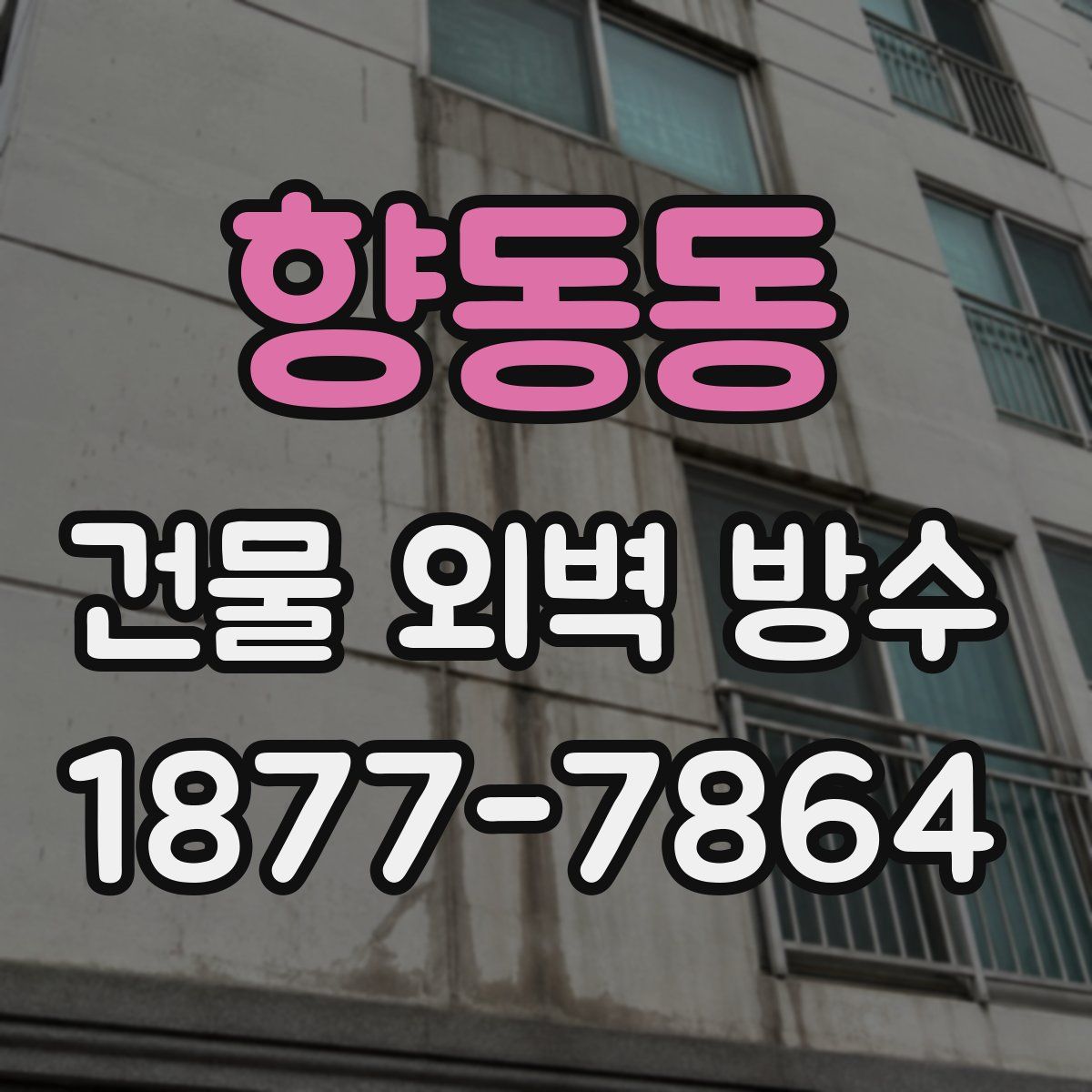 향동동 건물 외벽 방수