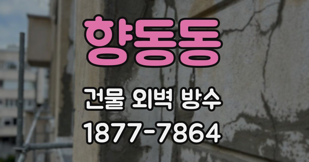 향동동 건물 외벽 방수