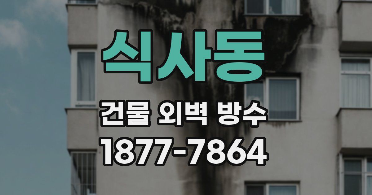 식사동 건물 외벽 방수