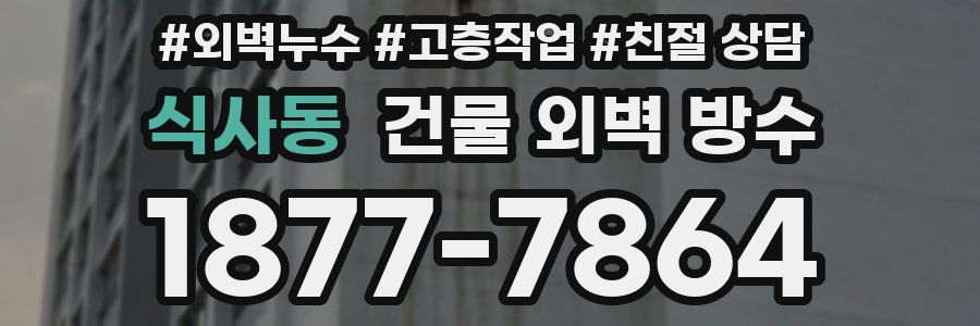 식사동 건물 외벽 방수