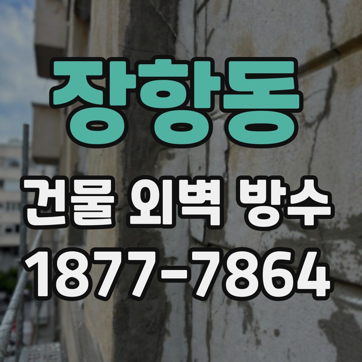 장항동 건물 외벽 방수