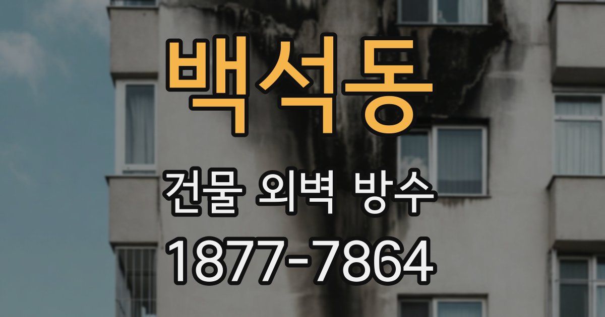 백석동 건물 외벽 방수