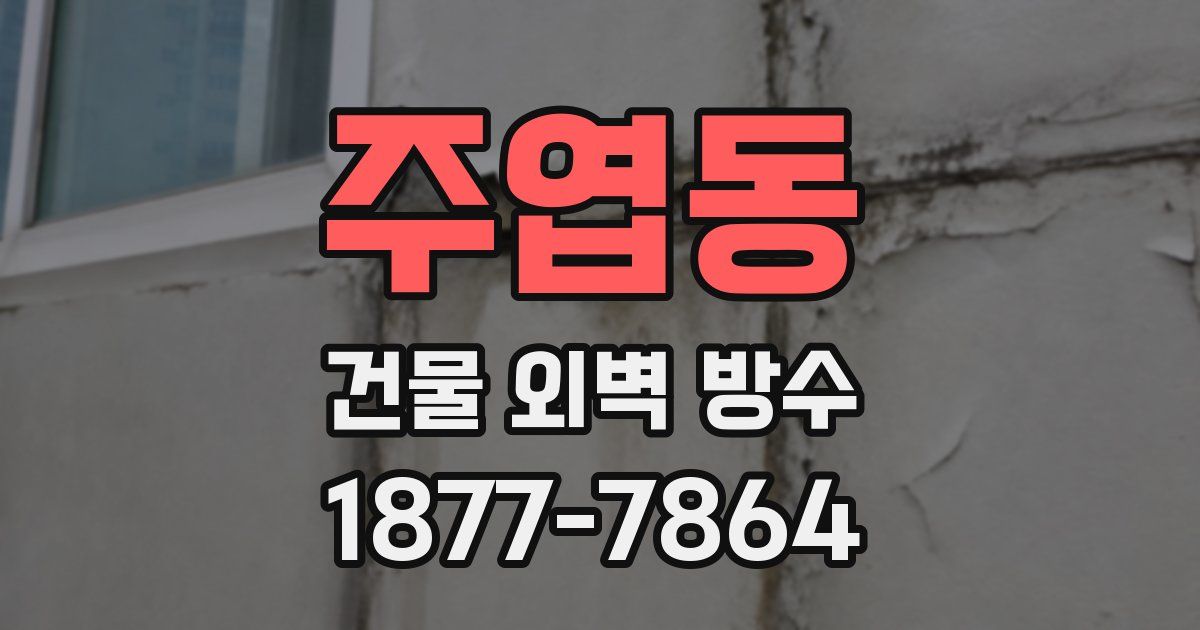 주엽동 건물 외벽 방수
