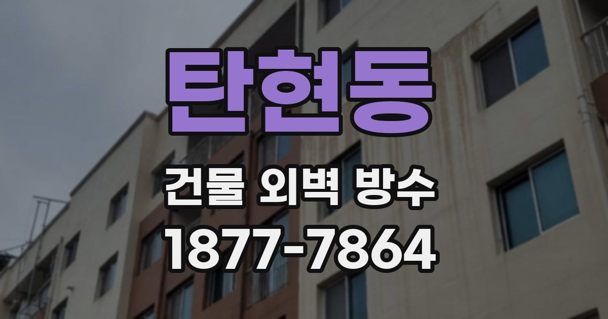 탄현동 건물 외벽 방수