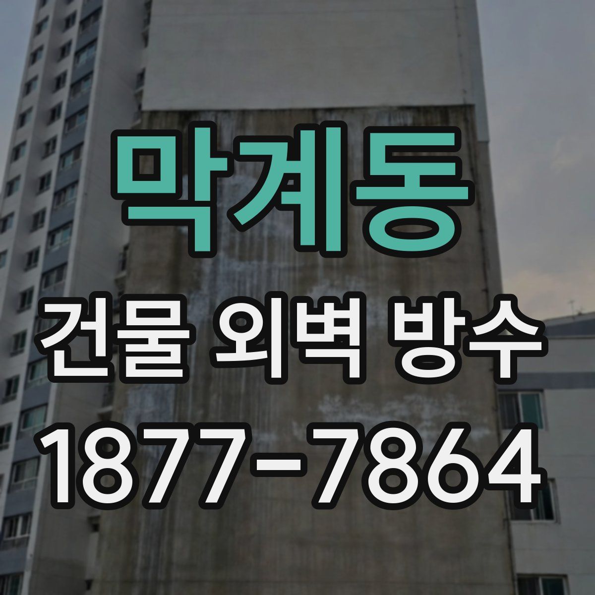 막계동 건물 외벽 방수