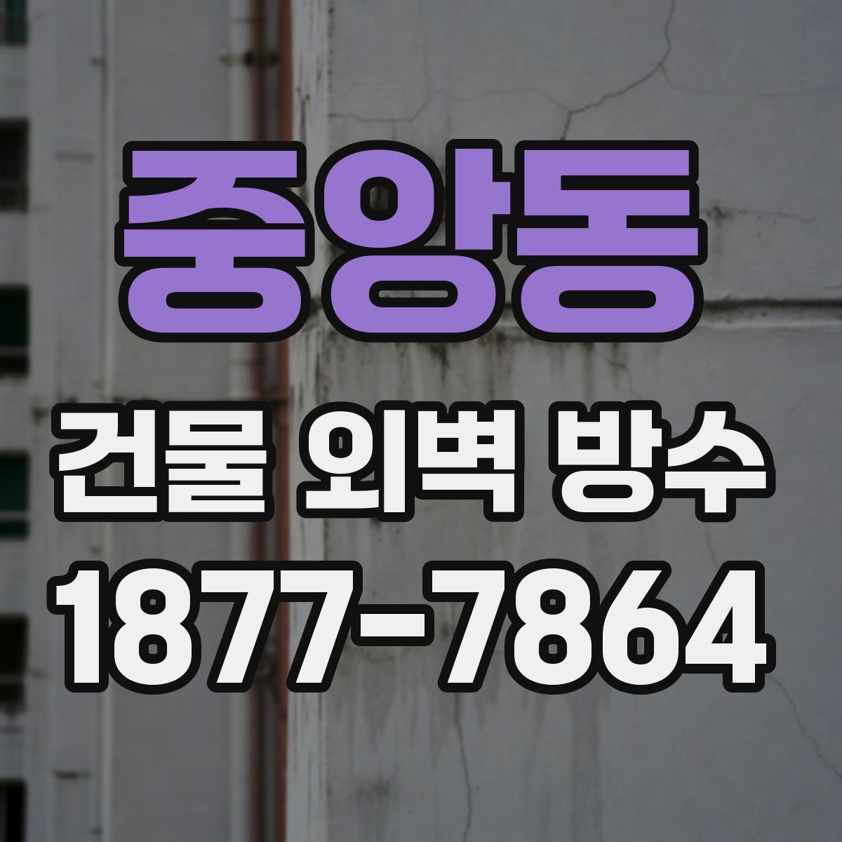 중앙동 건물 외벽 방수